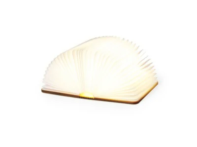 Joneson Lampa