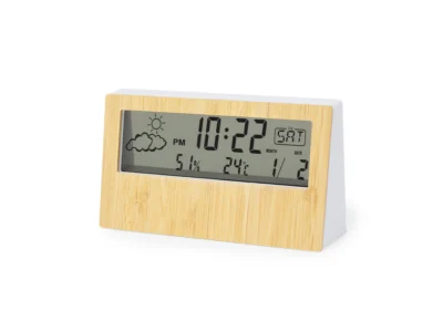 Roamer – Meteorologická stanica
